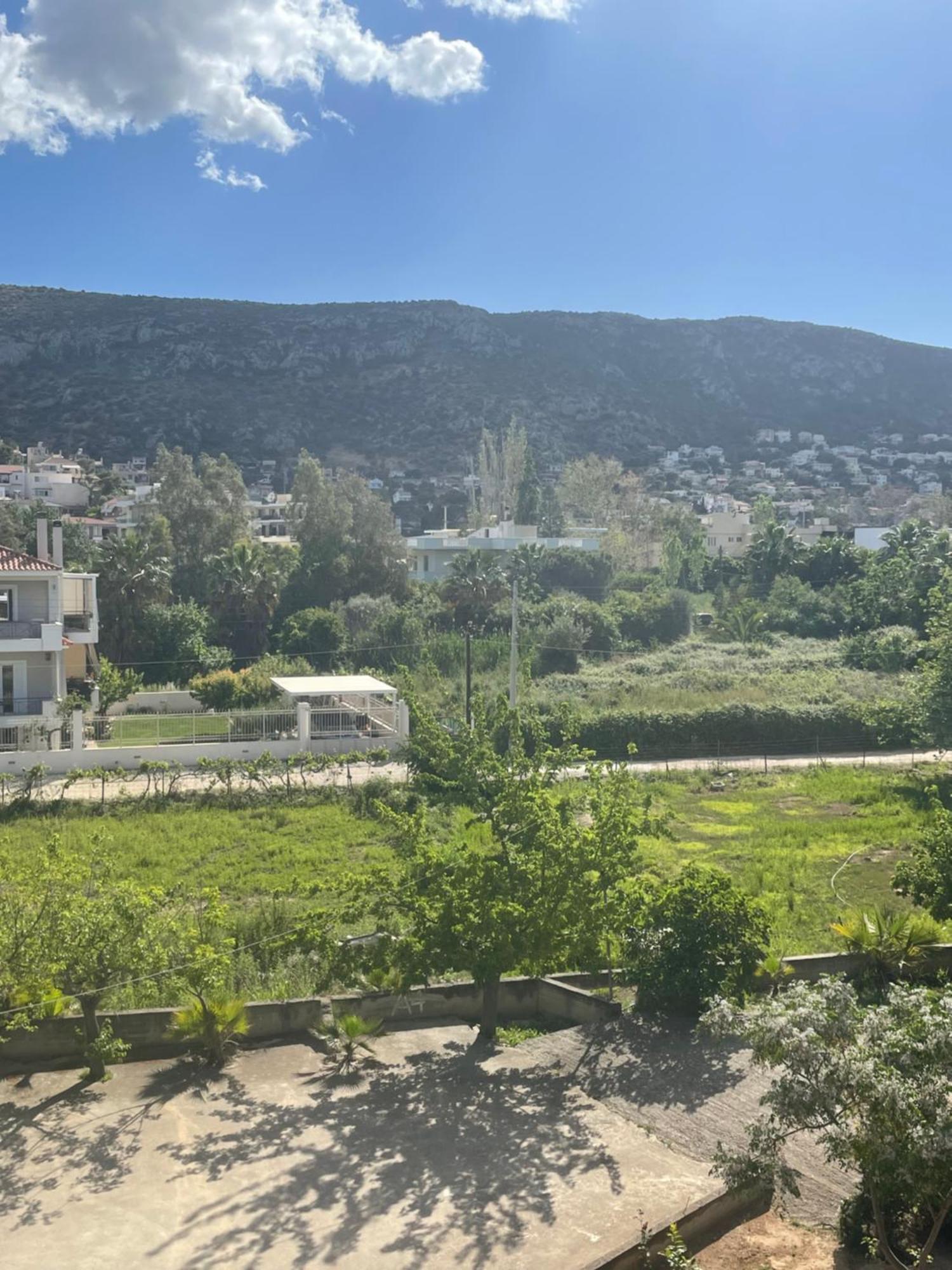 Seaside Argo Apartment Porto Rafti Exterior photo