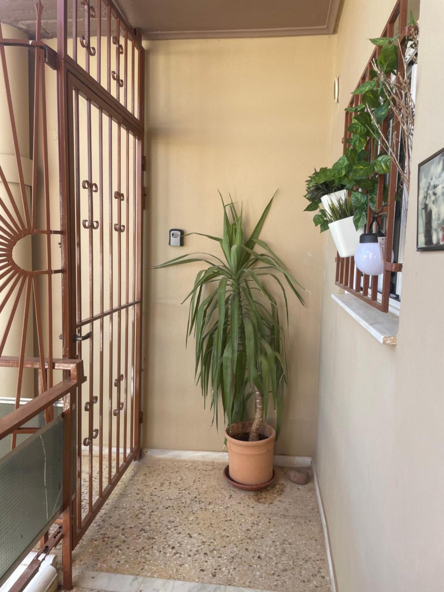 Seaside Argo Apartment Porto Rafti Exterior photo